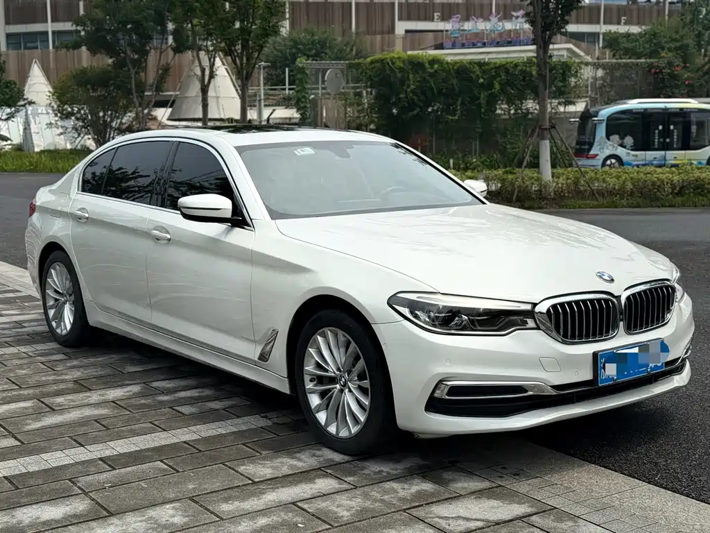 BMW 5 Series 5 2020 530Li Premium Luxury