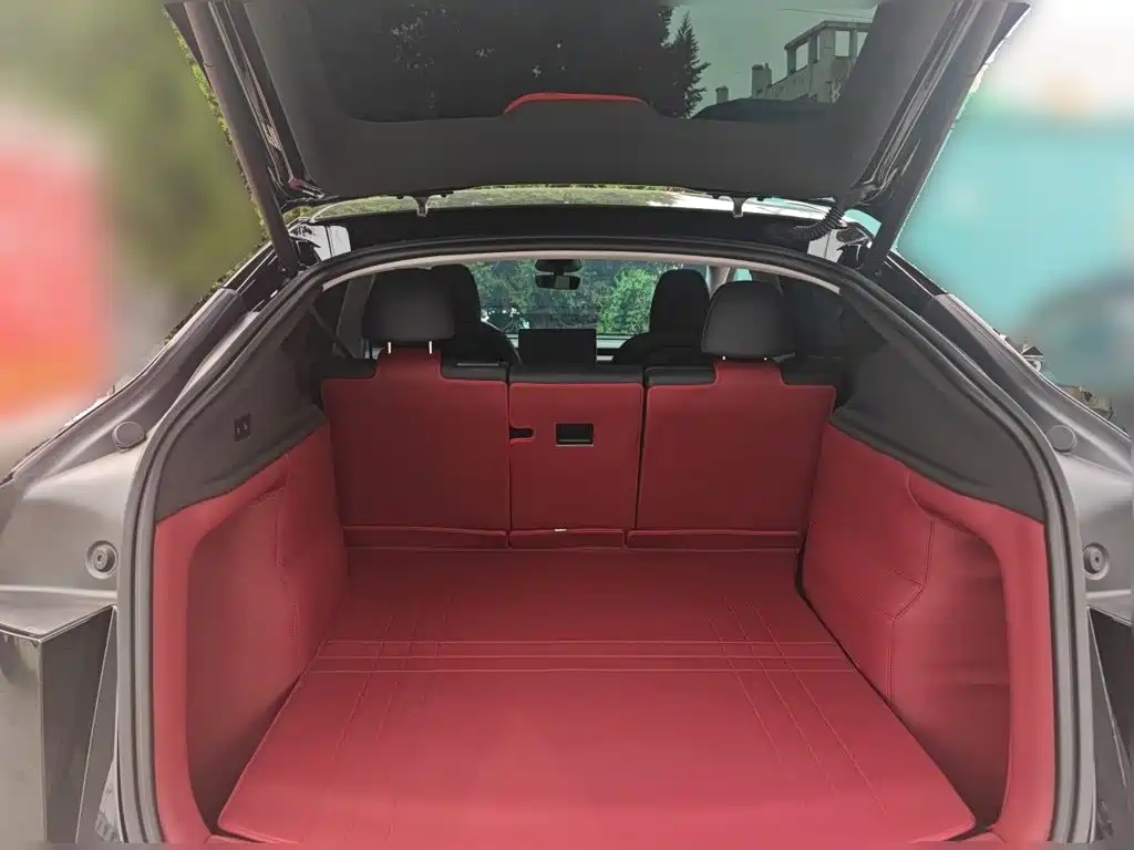 Tesla Model Y — миниатюра 15