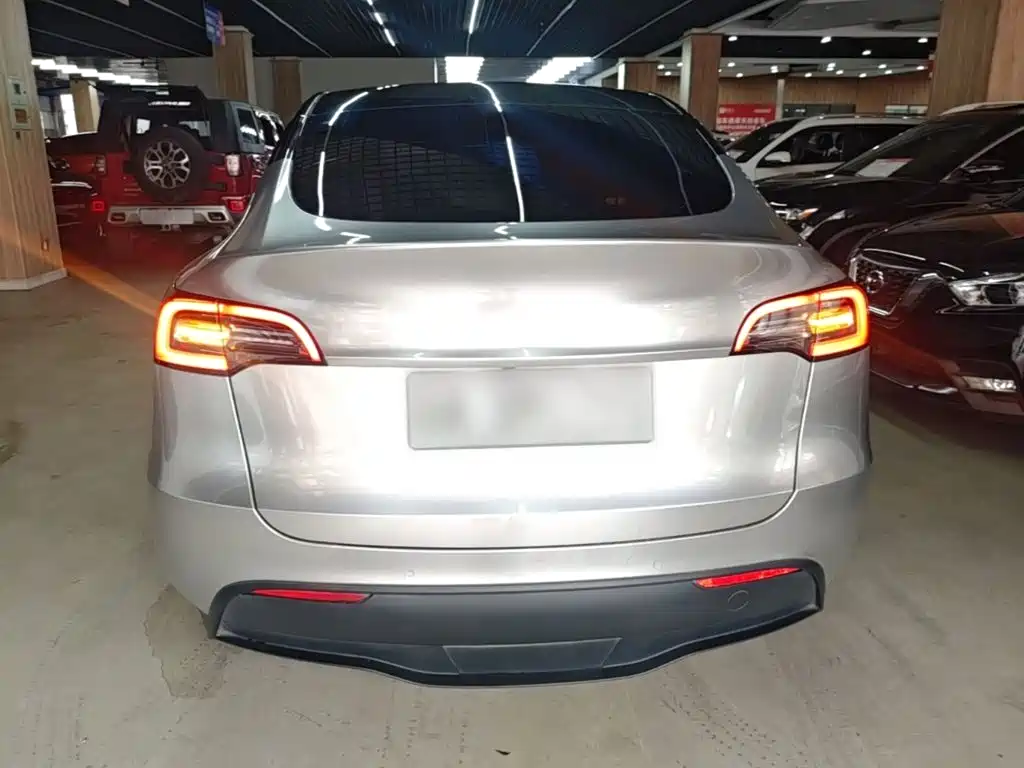 Tesla Model Y — миниатюра 6