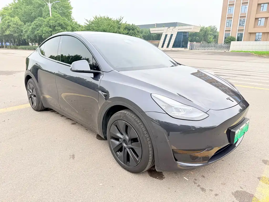 Tesla Model Y — миниатюра 3