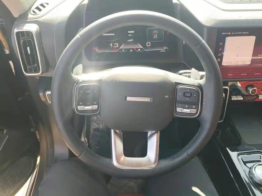 Haval Big Dog — миниатюра 15