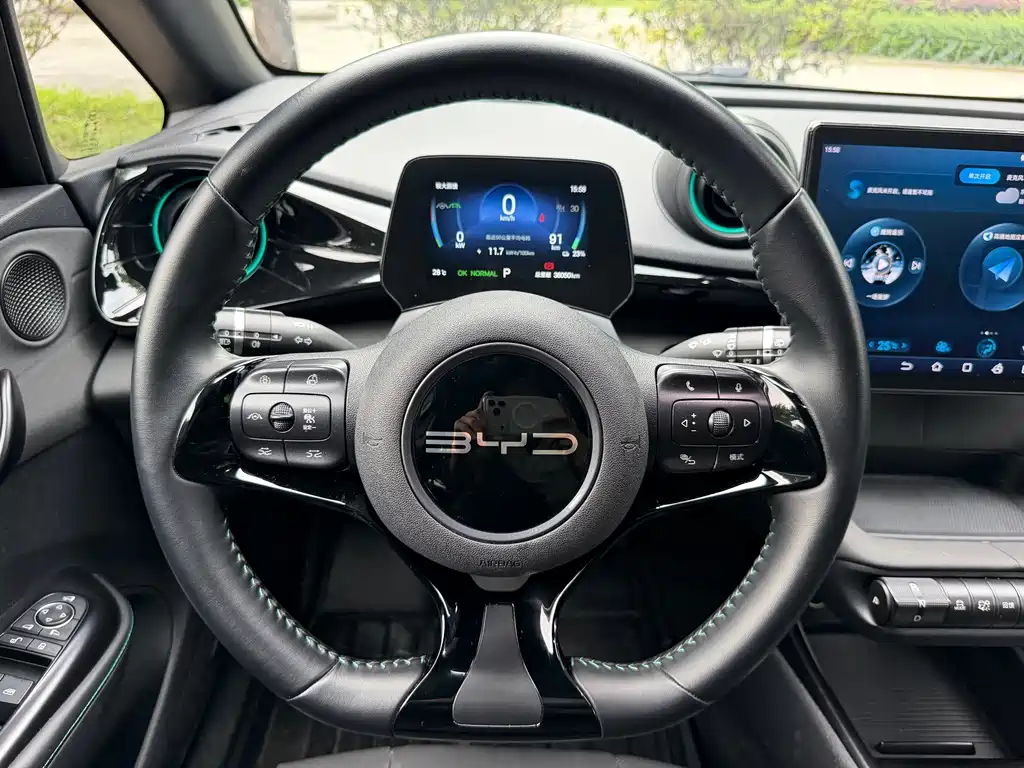 BYD Dolphin — миниатюра 8