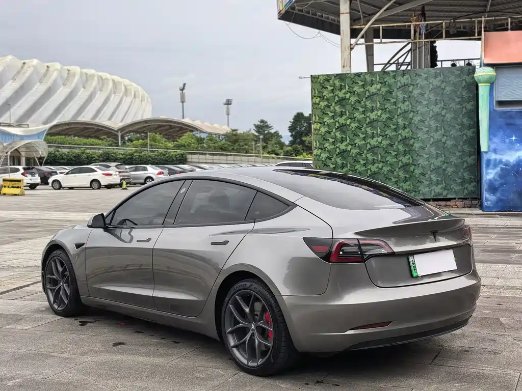 Tesla Model 3 — миниатюра 7