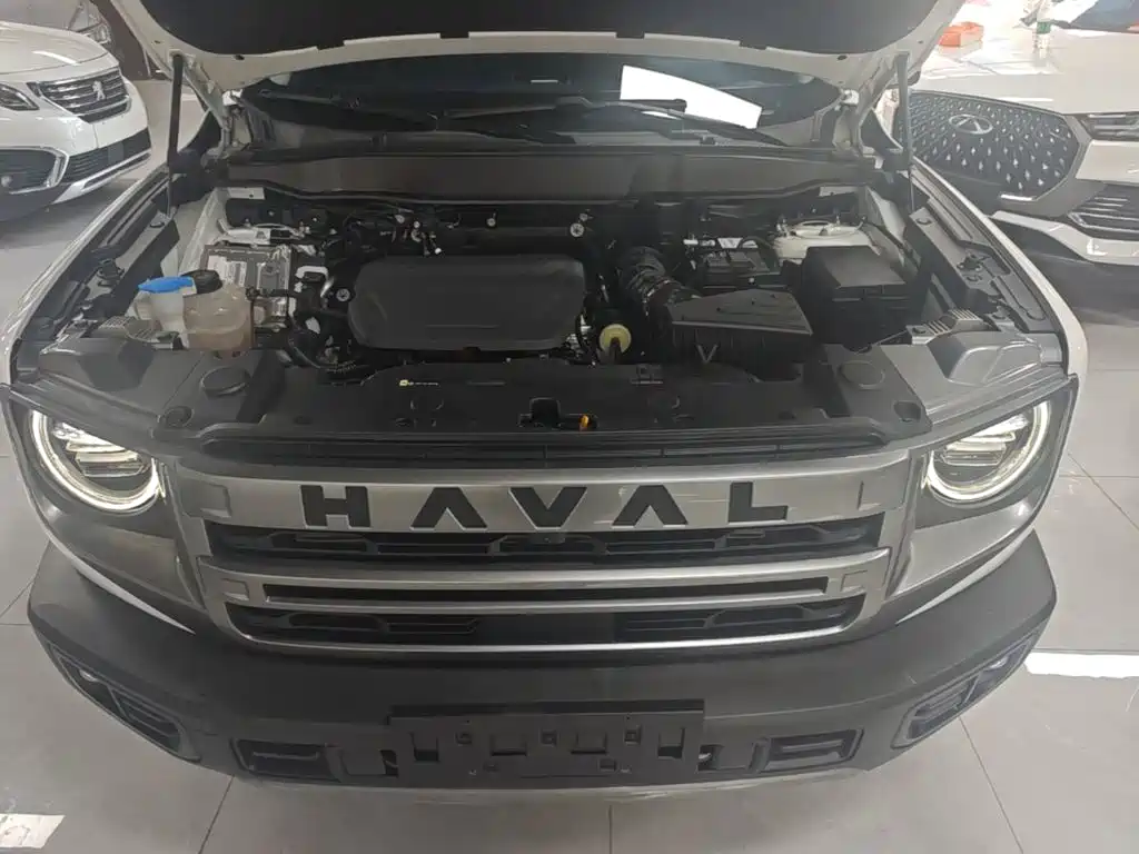 Haval Big Dog — миниатюра 20