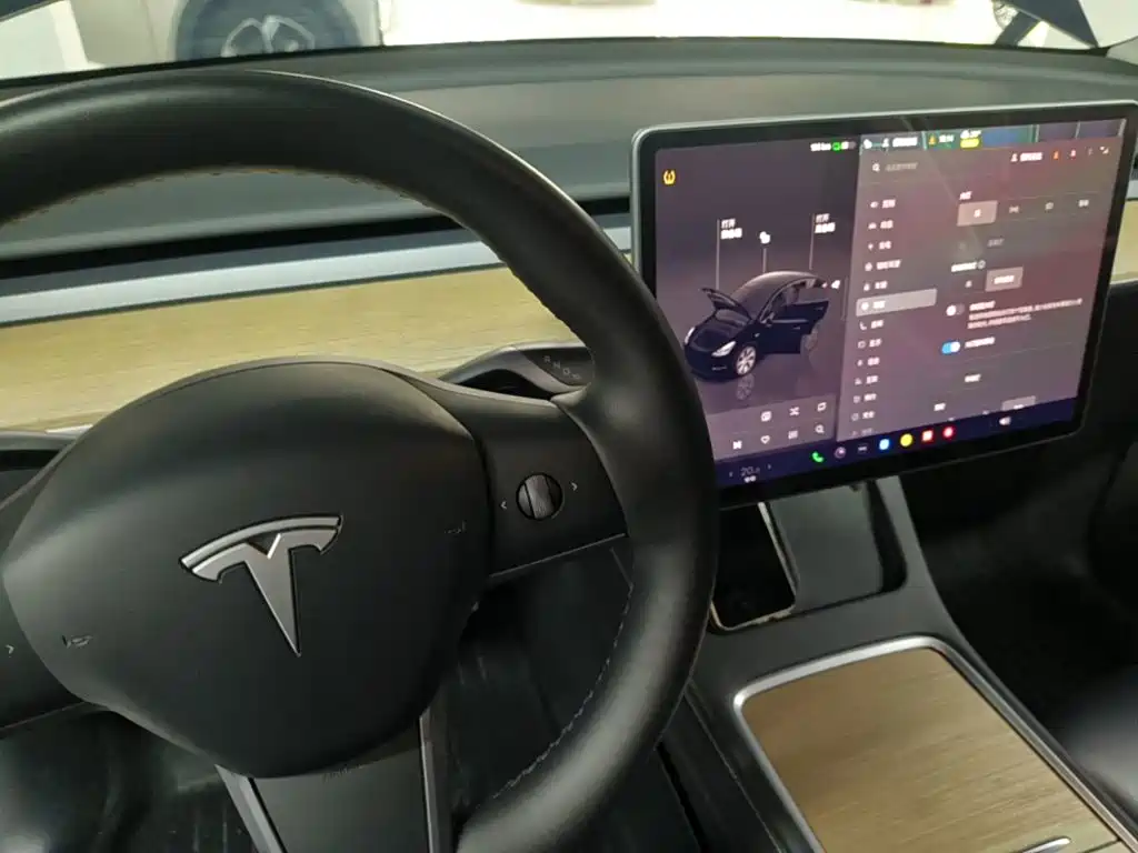 Tesla Model Y — миниатюра 14
