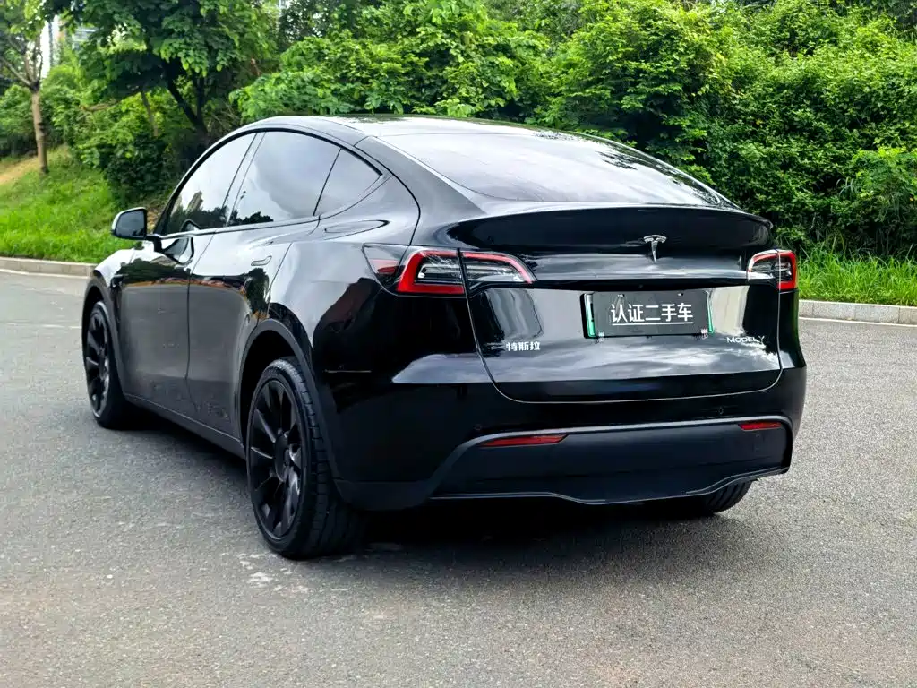 Tesla Model Y — миниатюра 5