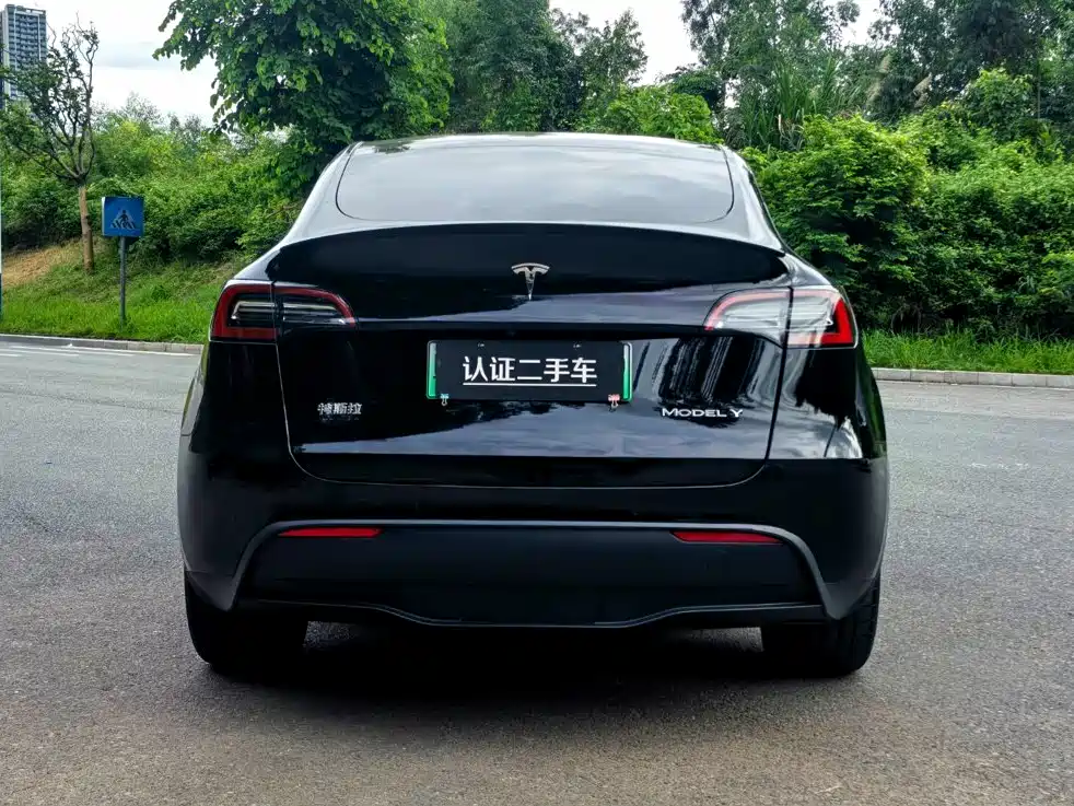 Tesla Model Y — миниатюра 6