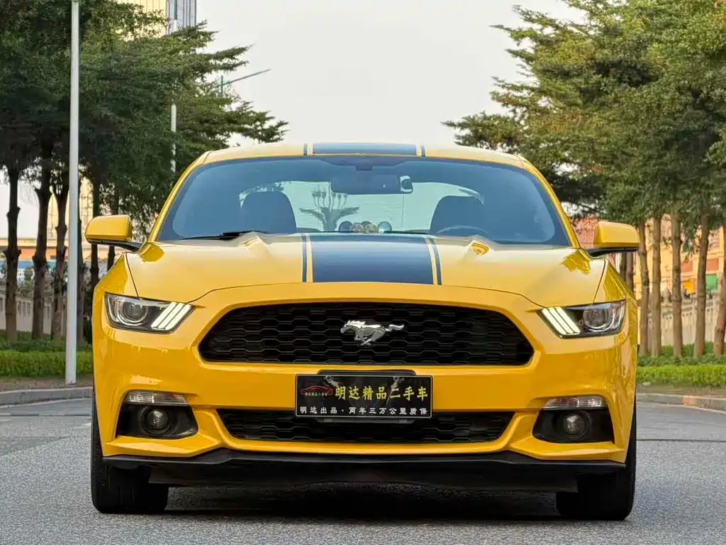 Ford Mustang — миниатюра 2