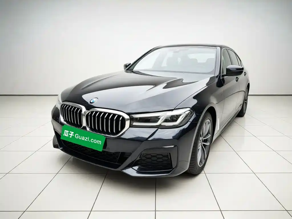 BMW 5 Series New Energy
