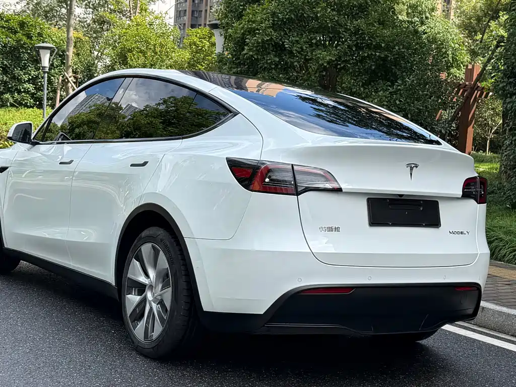 Tesla Model Y — миниатюра 13