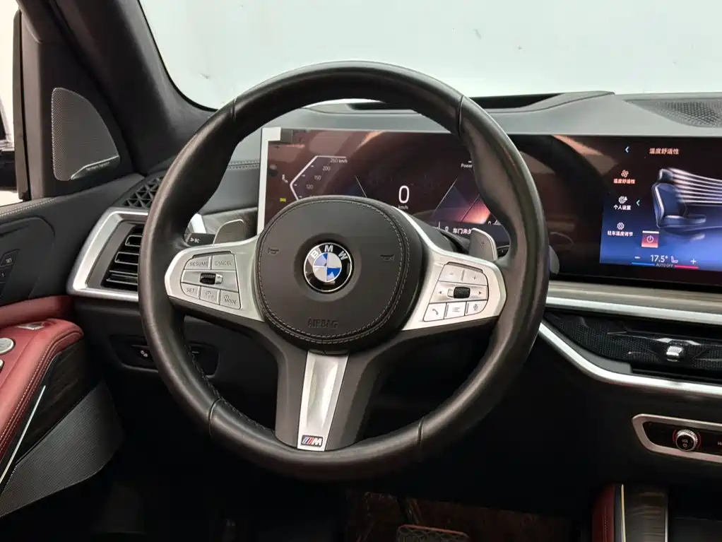 BMW X5 — миниатюра 12