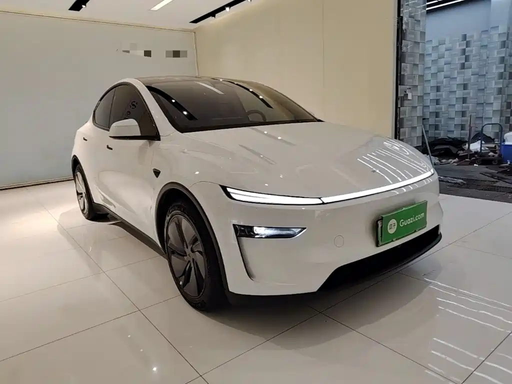 Tesla Model Y — миниатюра 4