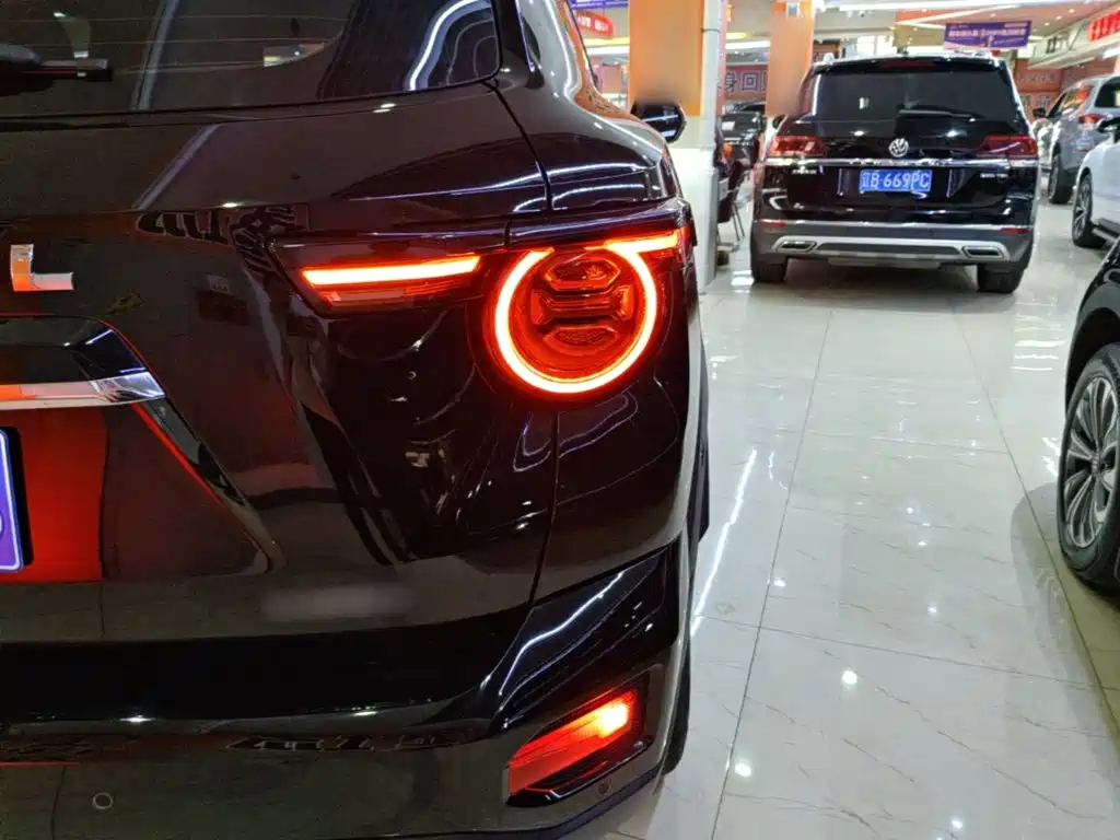Haval Big Dog PLUS — миниатюра 8