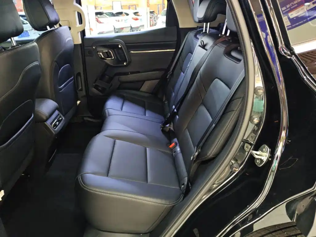 Haval Big Dog PLUS — миниатюра 17