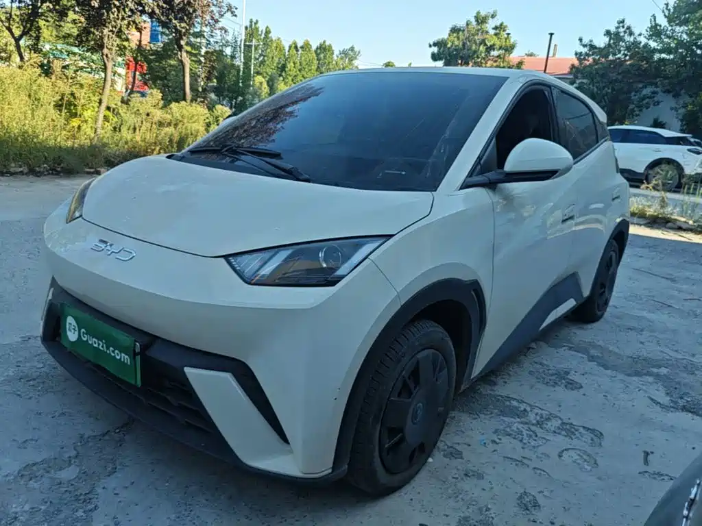 BYD Seagull