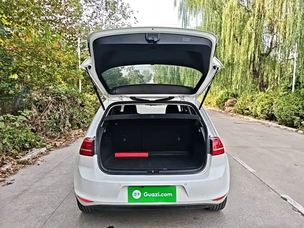 Volkswagen Golf — миниатюра 19