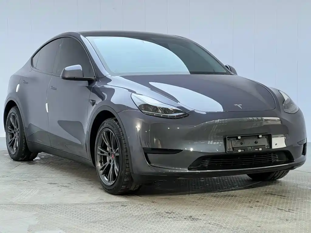 Tesla Model Y — миниатюра 4