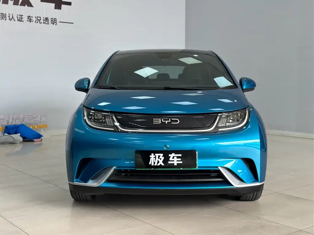 BYD Dolphin — миниатюра 3