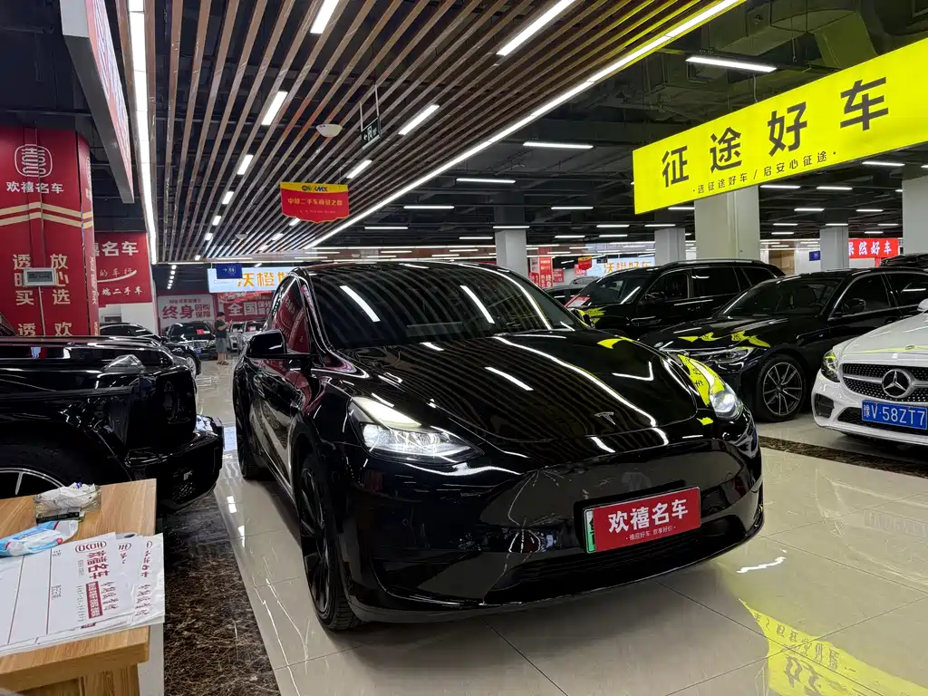 Tesla Model Y — миниатюра 3