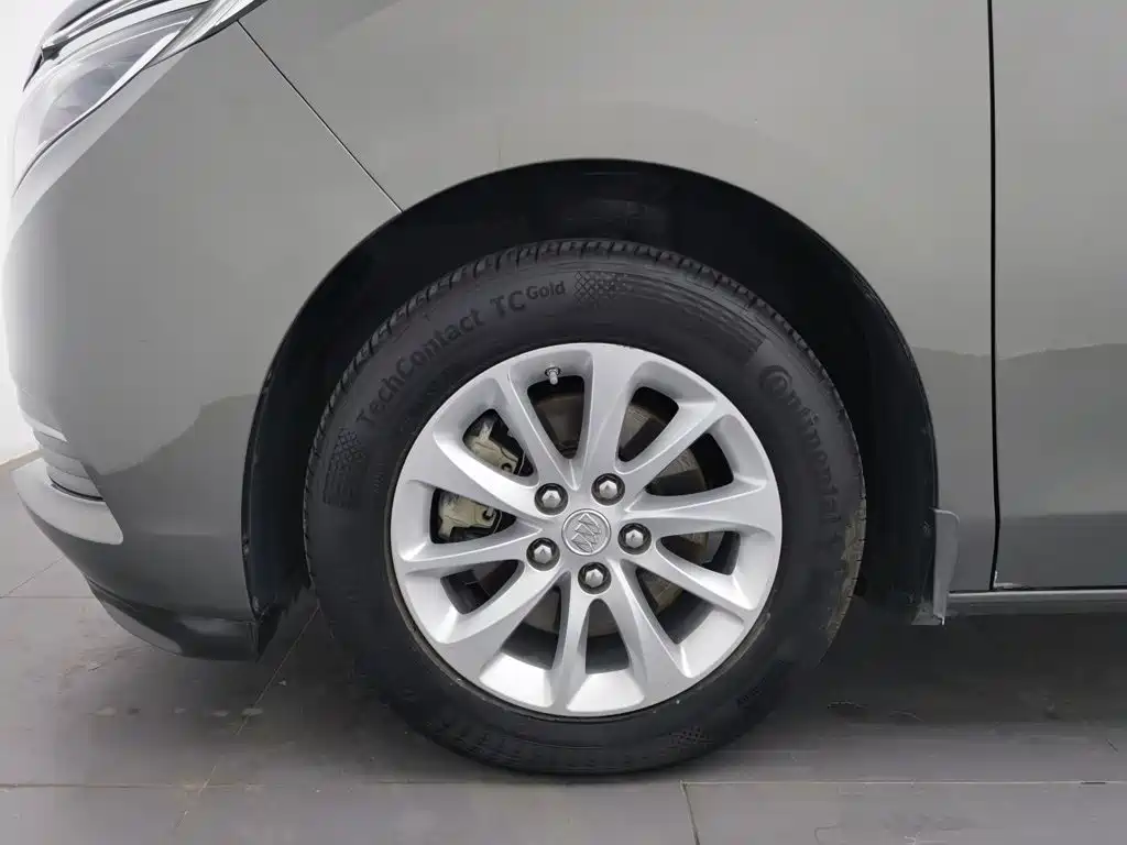 Buick GL8 — миниатюра 17