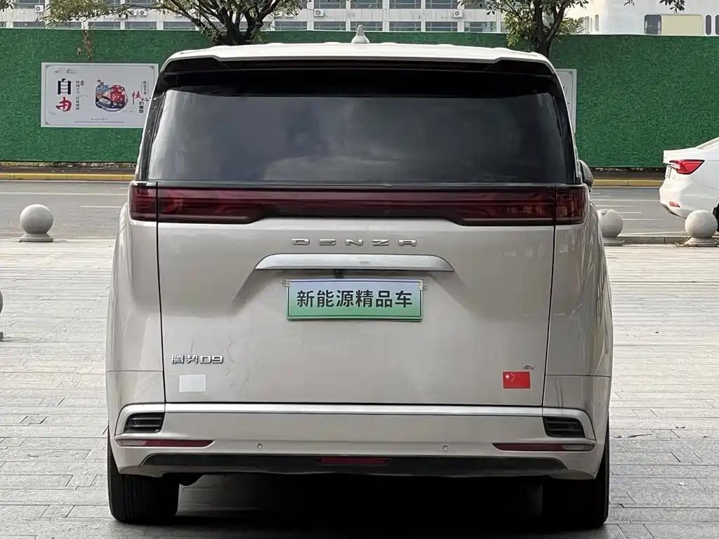 Denza Denza D9 — миниатюра 5