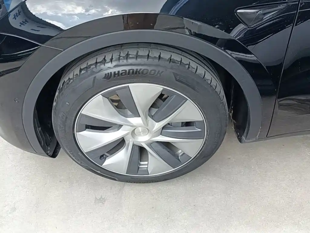 Tesla Model Y — миниатюра 23