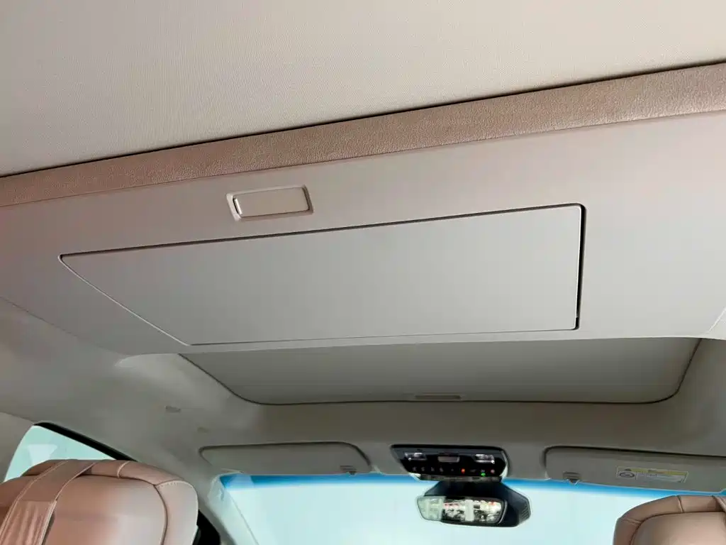 Buick Electra Encasa — миниатюра 27
