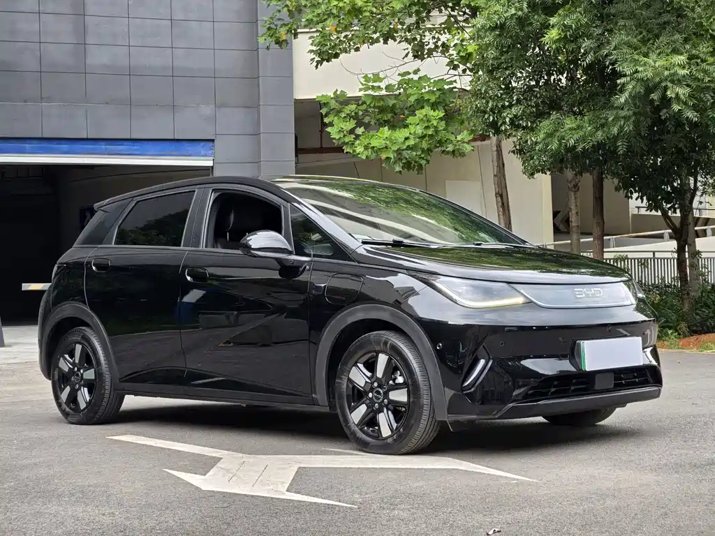 BYD Dolphin — миниатюра 2