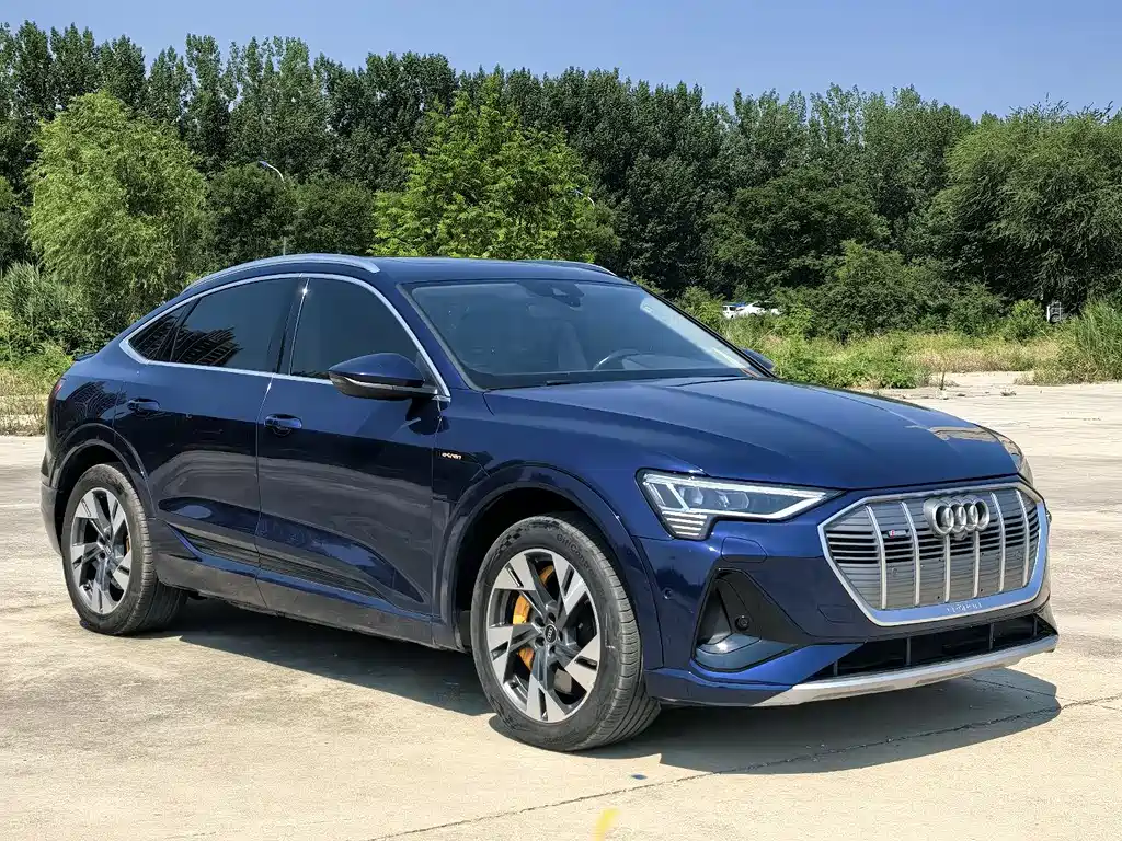 Audi e-tron 2021 Sportback 55 quattro