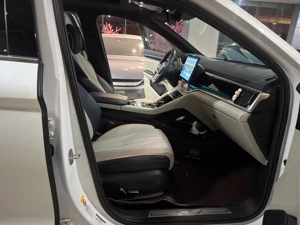 BYD PLUS New Energy — миниатюра 6