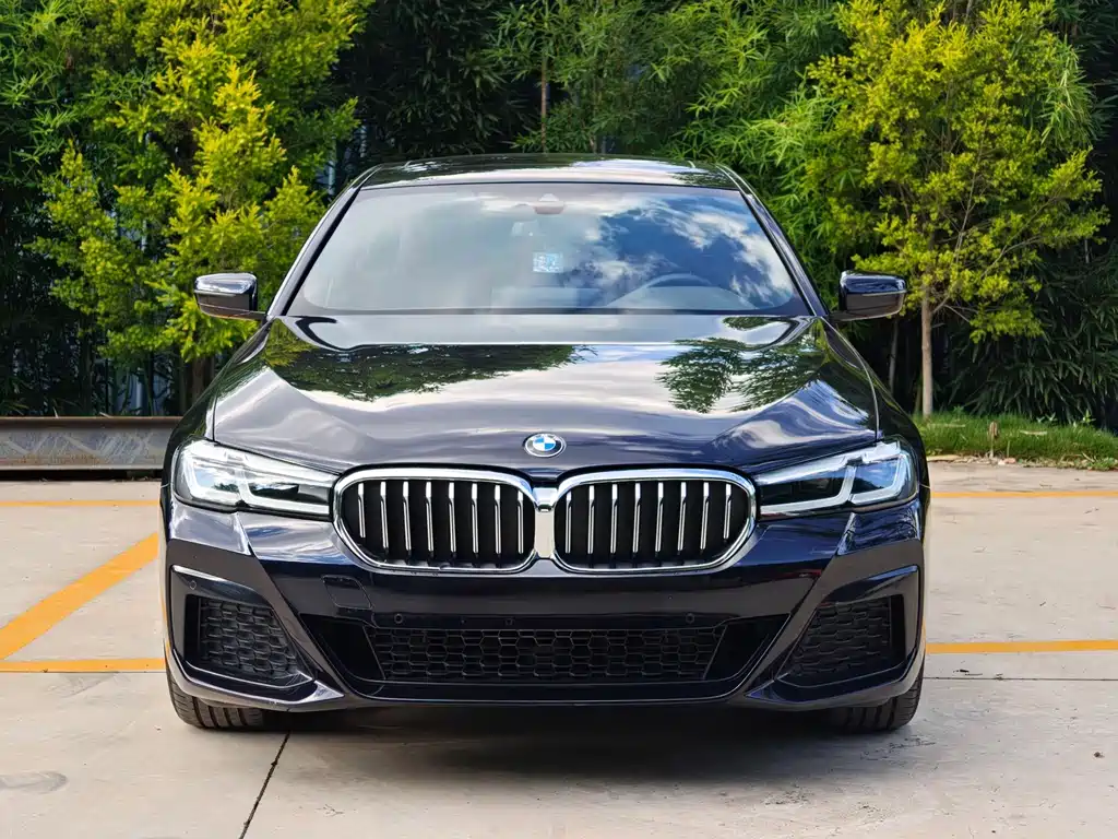 BMW 5 Series — миниатюра 2