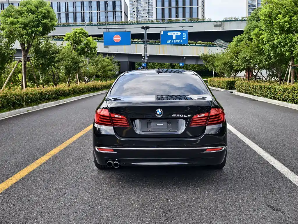 BMW 5 Series New Energy — миниатюра 5