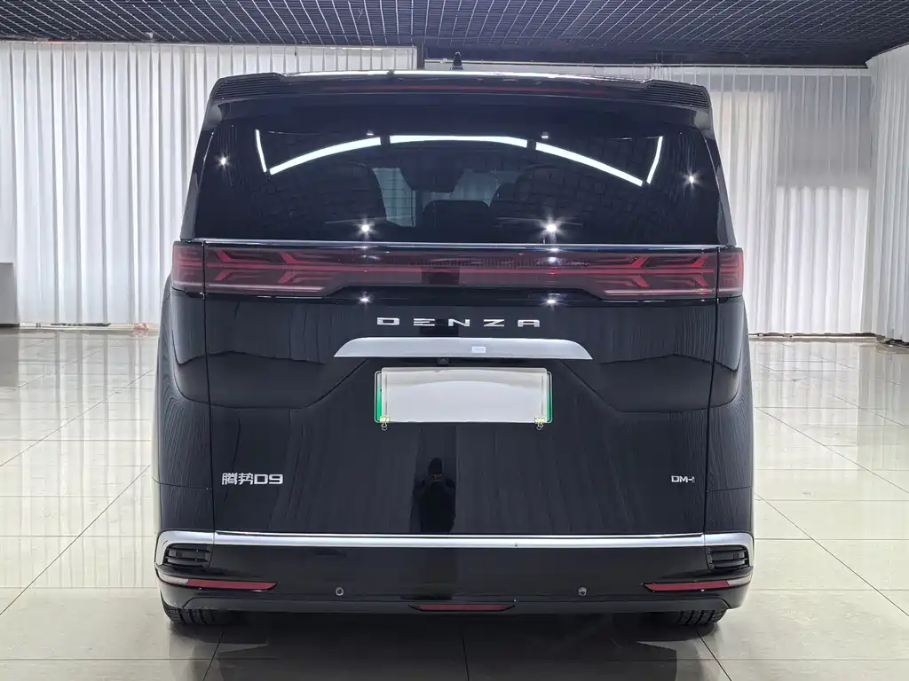 Denza Denza D9 — миниатюра 5