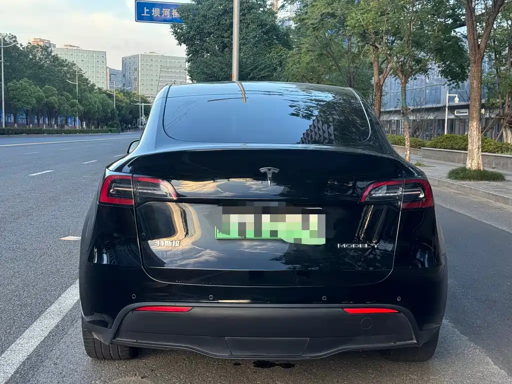 Tesla Model Y — миниатюра 4