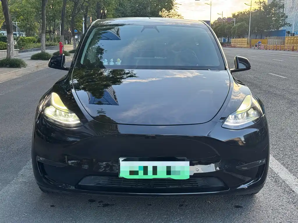 Tesla Model Y — миниатюра 5