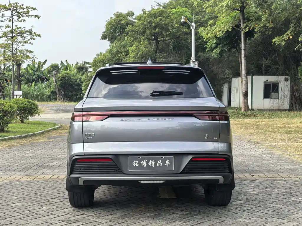 BYD Pro New Energy — миниатюра 6