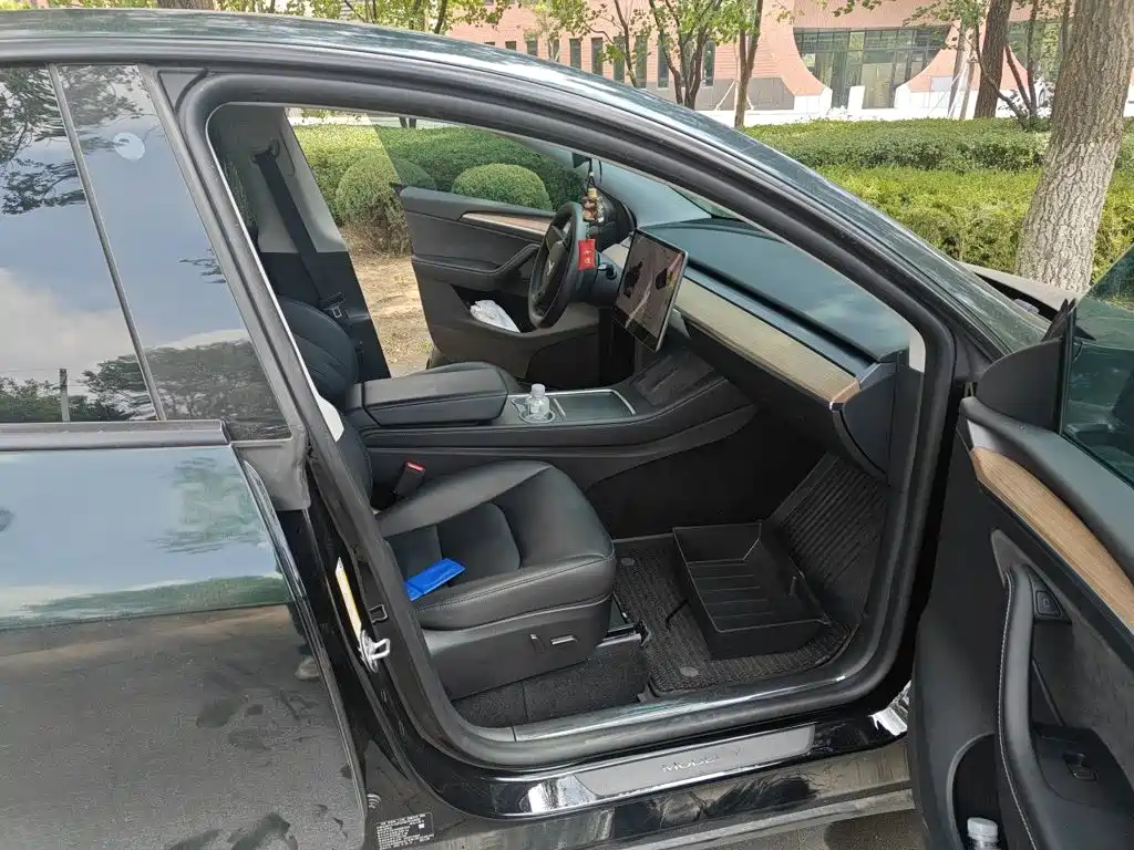 Tesla Model Y — миниатюра 20