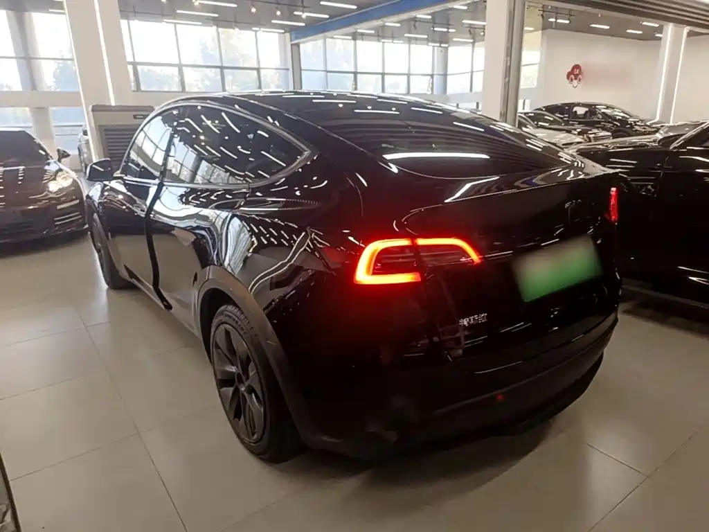 Tesla Model Y — миниатюра 5