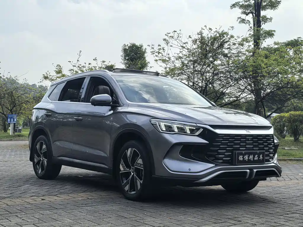 BYD Pro New Energy — миниатюра 3