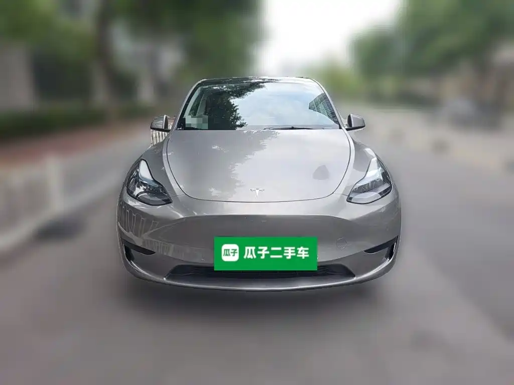Tesla Model Y — миниатюра 2