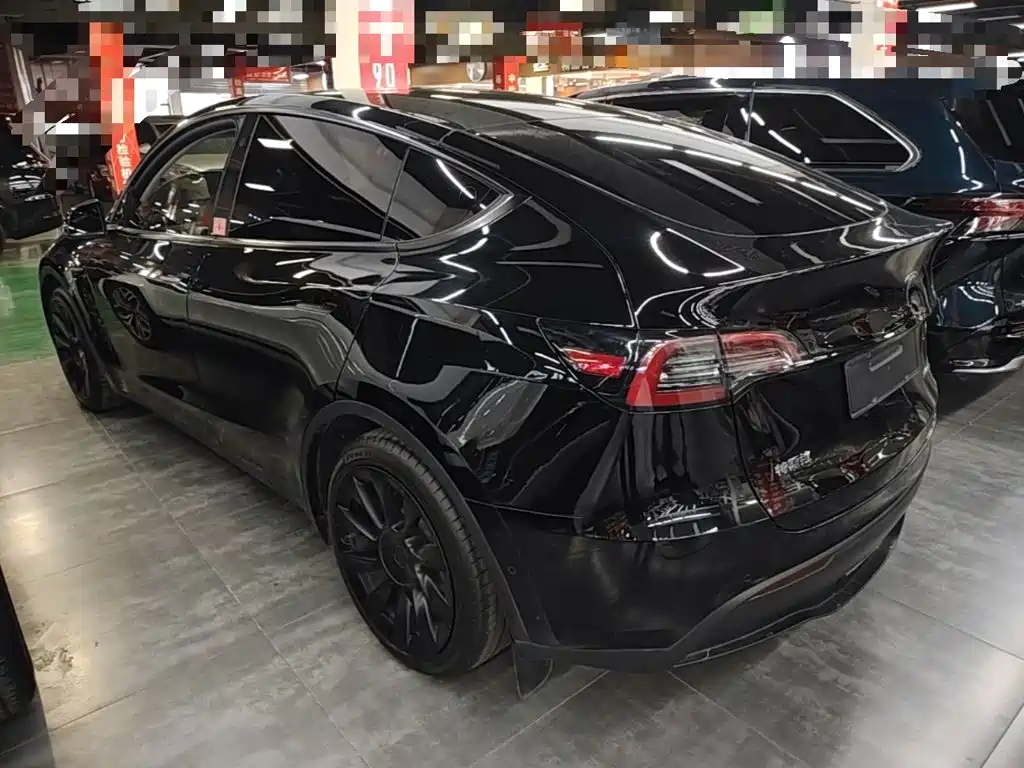 Tesla Model Y — миниатюра 5