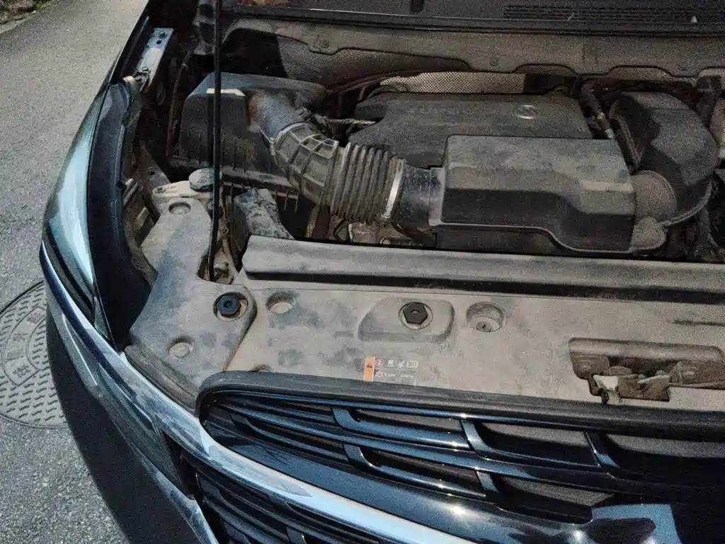 Buick GL8 — миниатюра 21