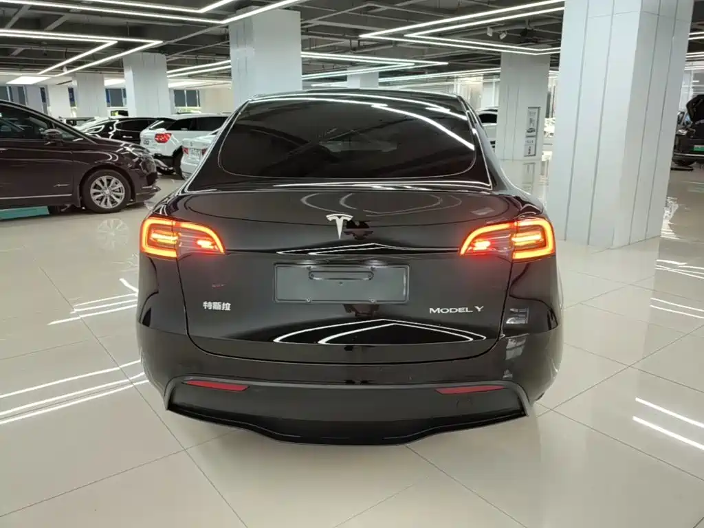 Tesla Model Y — миниатюра 6