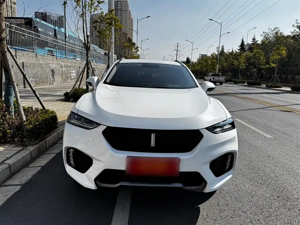 WEI PAI WEI BRAND VV7