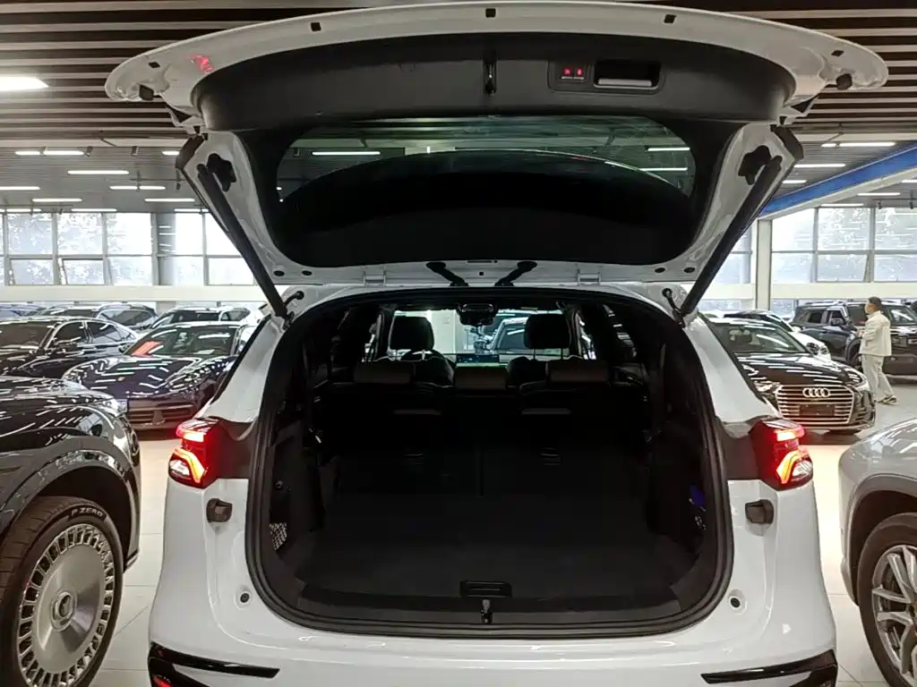 BYD Tang New Energy — миниатюра 19