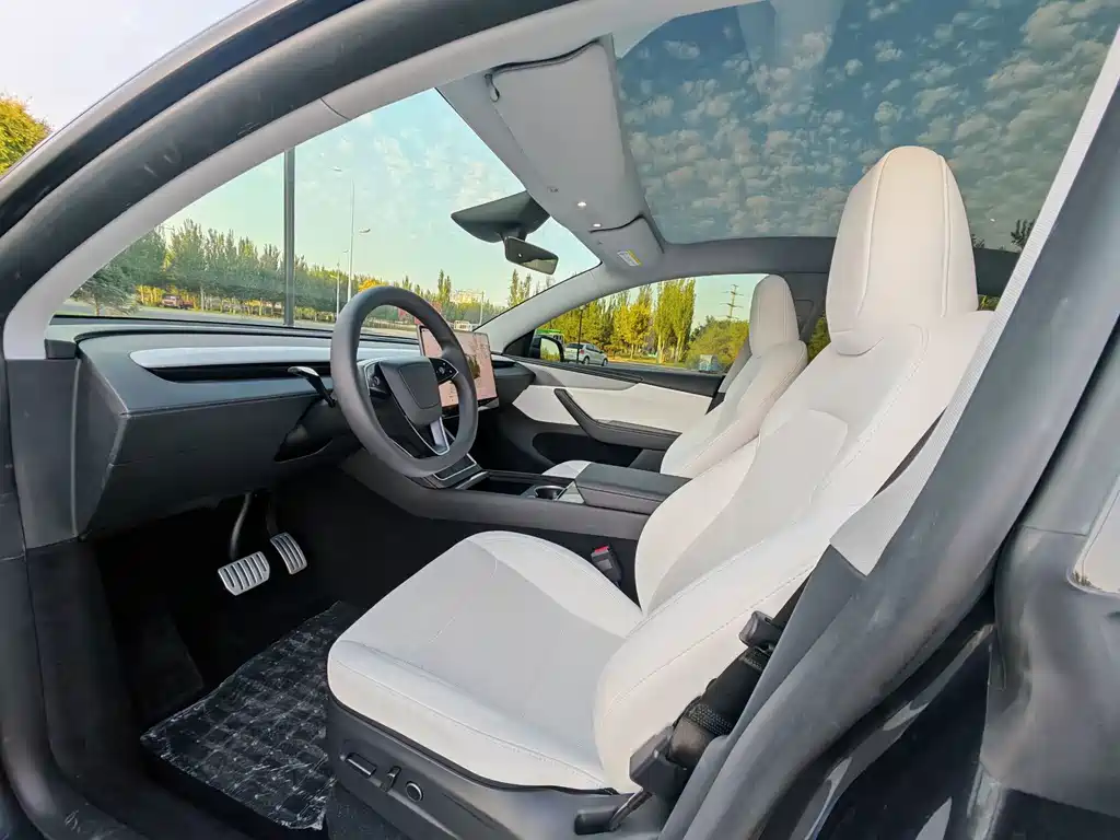 Tesla Model Y — миниатюра 8