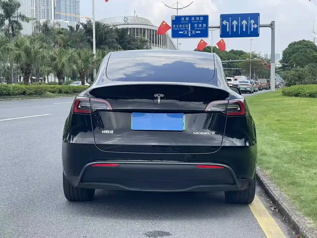 Tesla Model Y — миниатюра 5