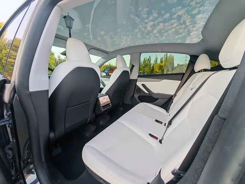 Tesla Model Y — миниатюра 13