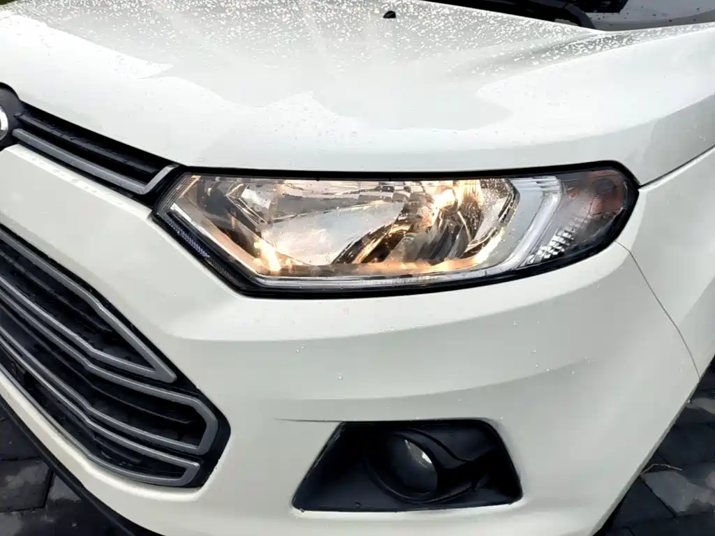 Ford Ecosport — миниатюра 24