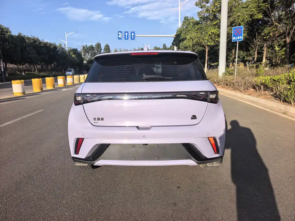 BYD Dolphin — миниатюра 4
